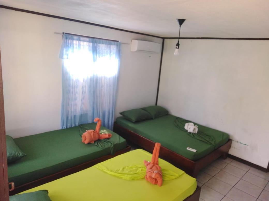 Cabinas Miss Miriam 2 Тортугеро Экстерьер фото